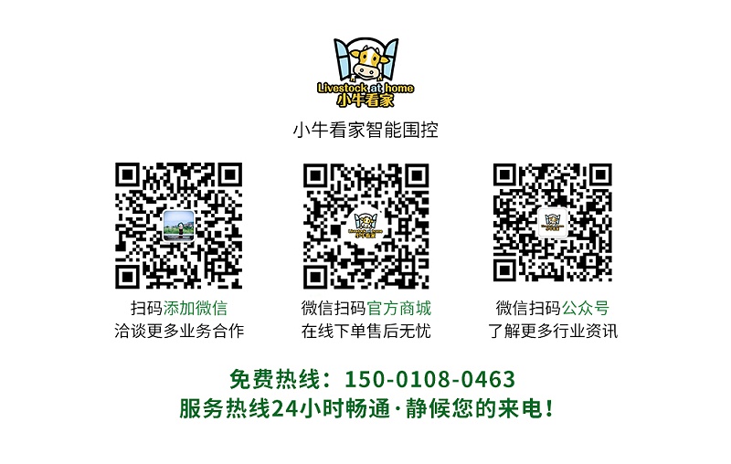 小牛看家聯系方式