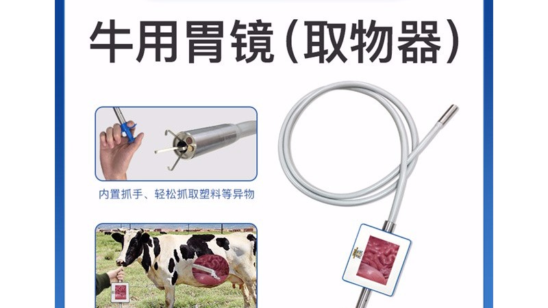 牛食欲差？小牛看家牛胃取物器輕松調(diào)理牛的消化問題