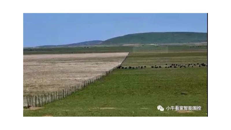 第十九屆中國(guó)畜牧業(yè)博覽會(huì)在江西南昌盛大開(kāi)幕！