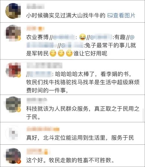 小牛看家趣聞