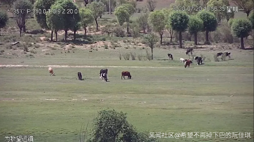 北斗衛星視頻看牛