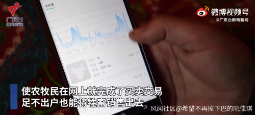 智能放牧手機監控