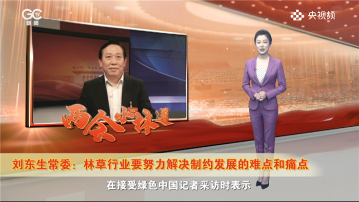  小牛看家