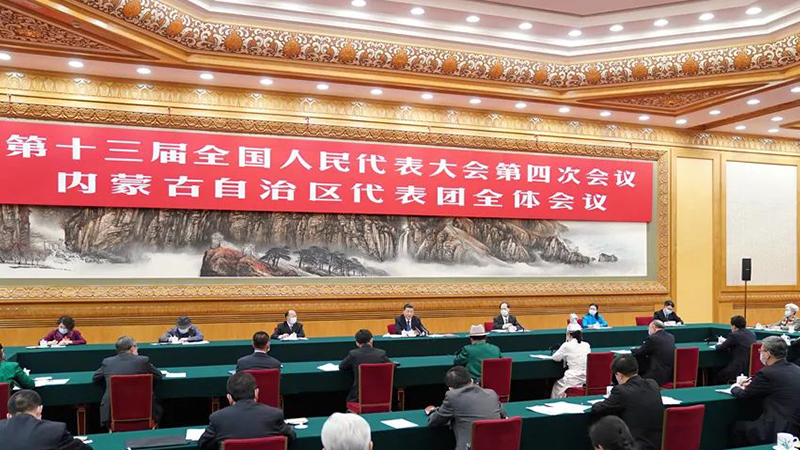 應急式修復不可取，小牛看家帶你看草原生態保護“欠賬”怎么還？