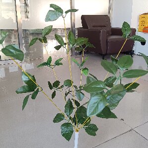 電草（仿生帶電植物）