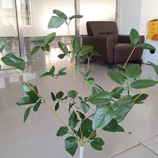 電草（仿生帶電植物）