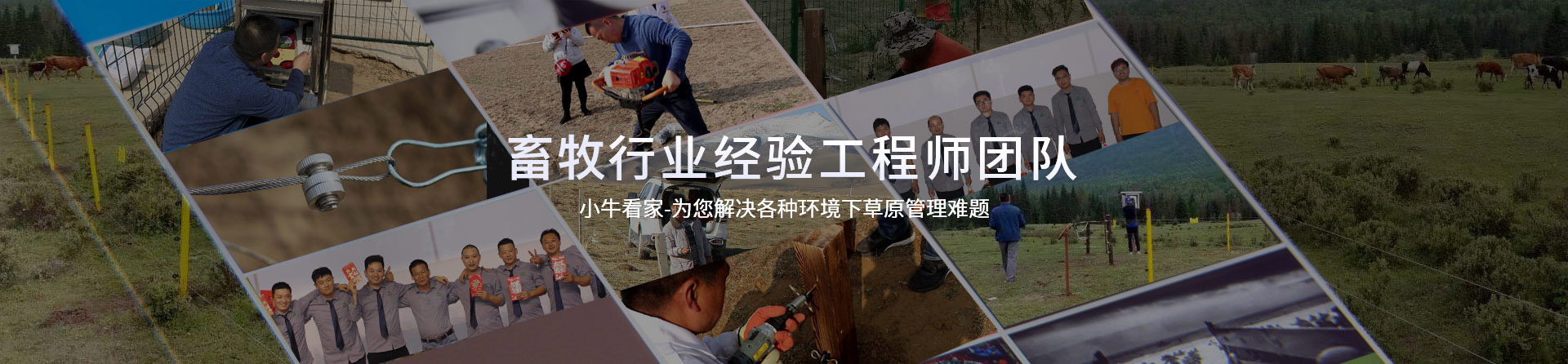 電子圍欄解決方案