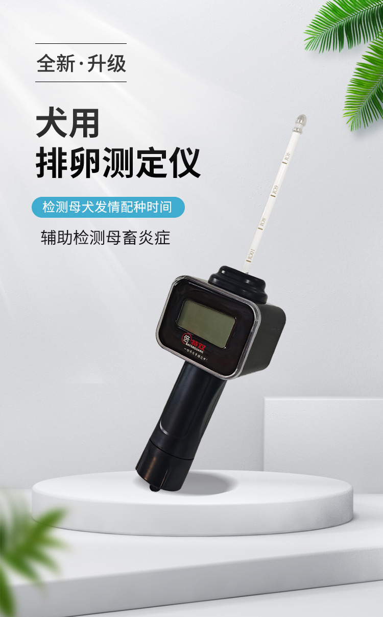 新款犬排詳情_01