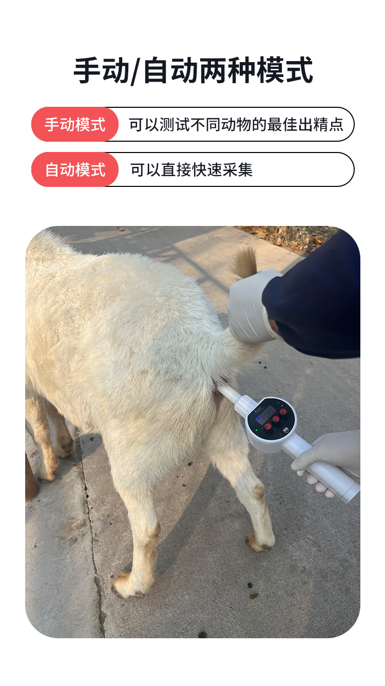 電采精器詳情_02