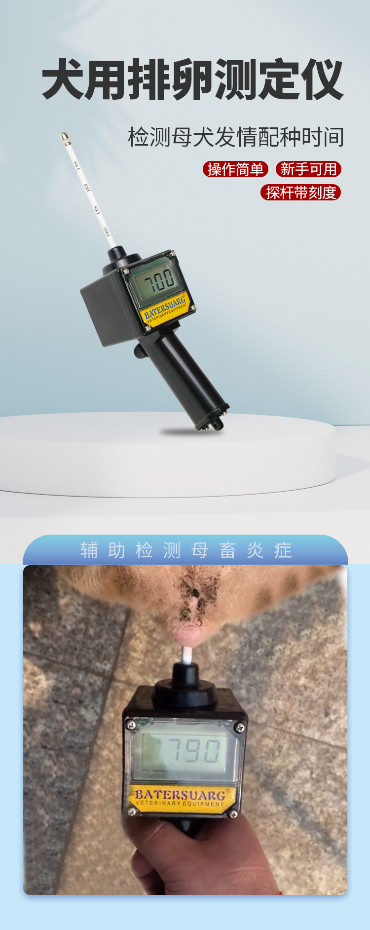 刻度犬排詳情_01