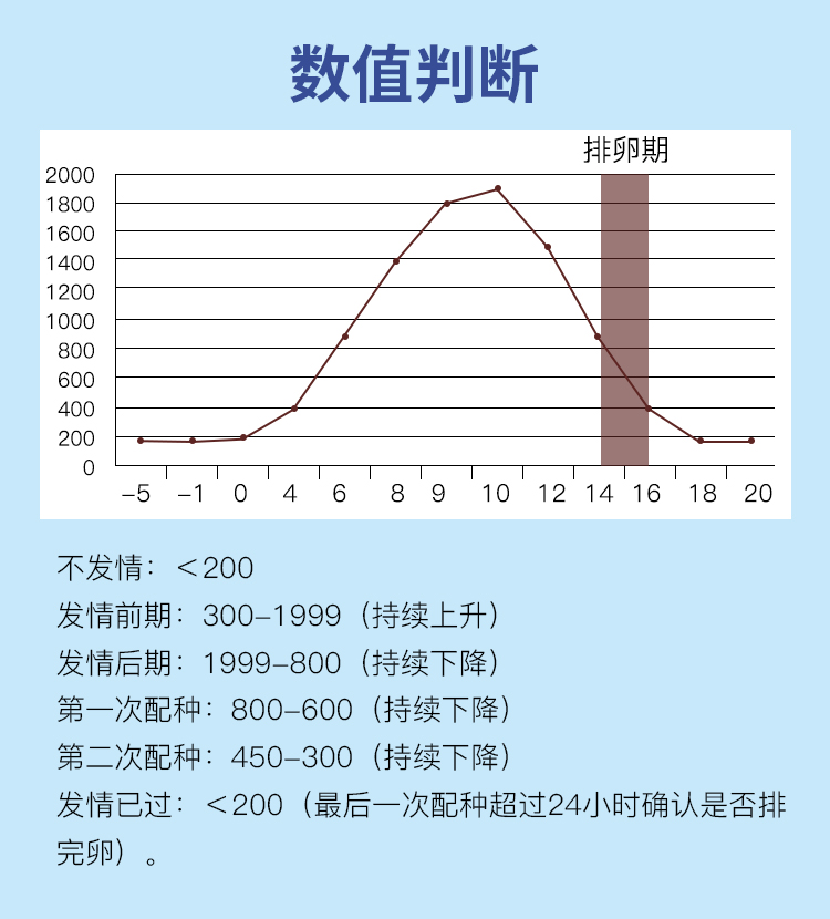 刻度犬排詳情_06