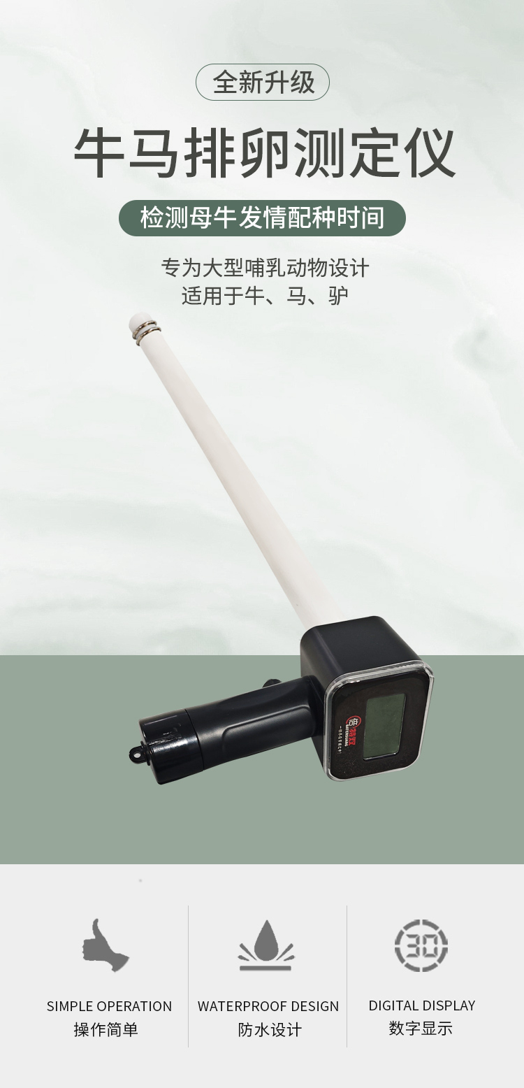 新款牛排詳情_01