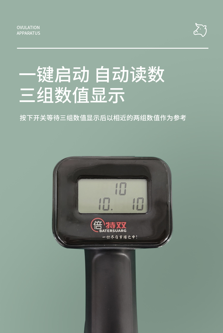 新款牛排詳情_02