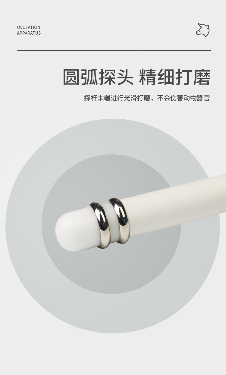 新款牛排詳情_03