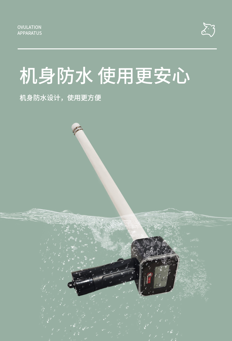新款牛排詳情_04