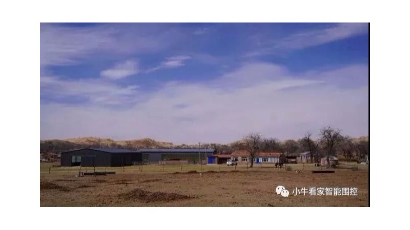 小牛看家畜牧電子圍欄家庭牧場圍控利器