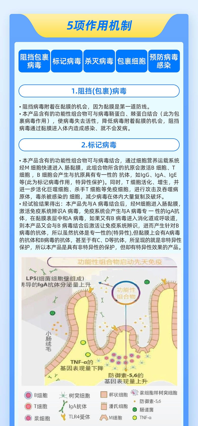 鐵欄32-3