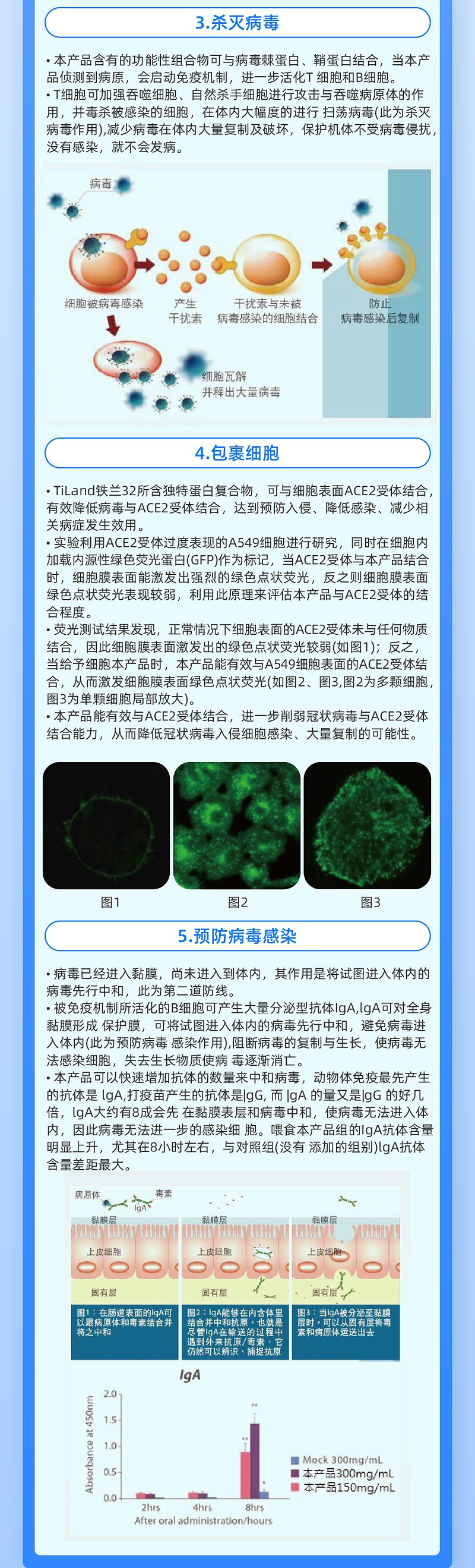 鐵欄32-4