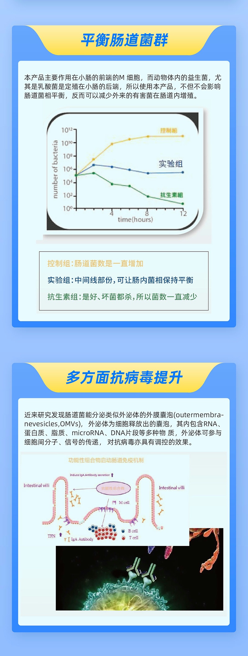 鐵欄32-5
