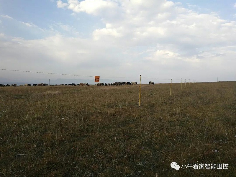 草原分包到戶