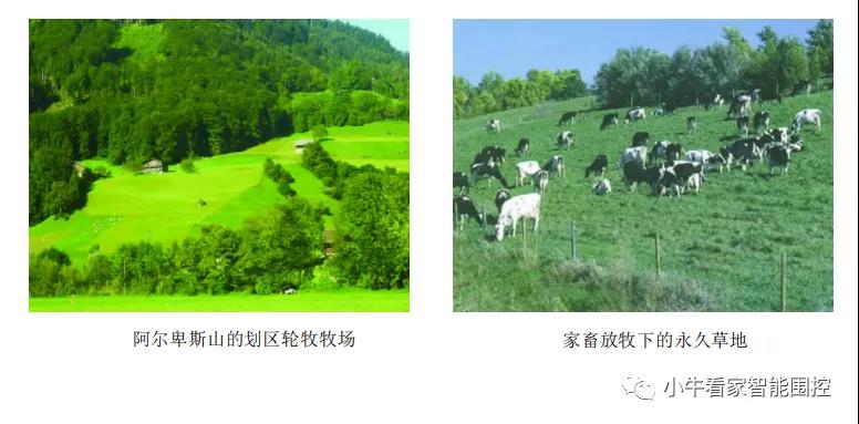劃區(qū)輪牧牧場(chǎng)