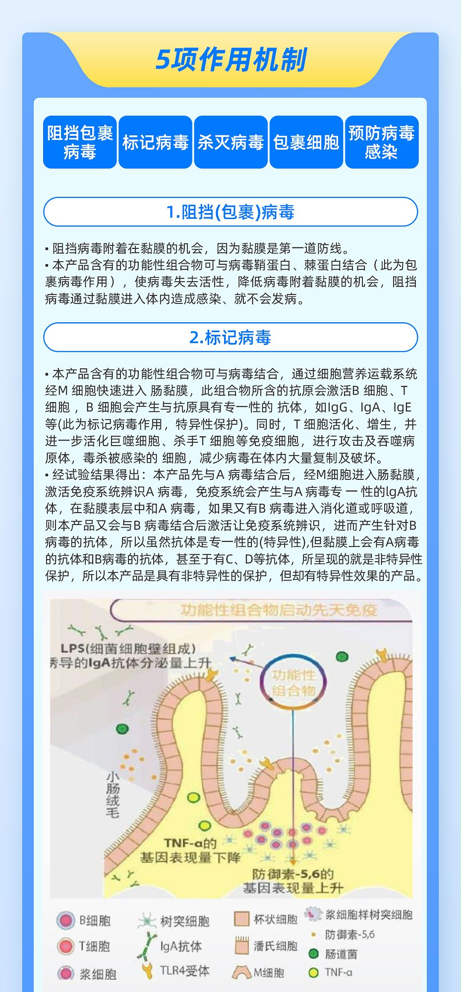 鐵欄32-3
