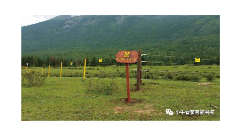 家庭牧場圍控利器——小牛看家畜牧電子圍欄